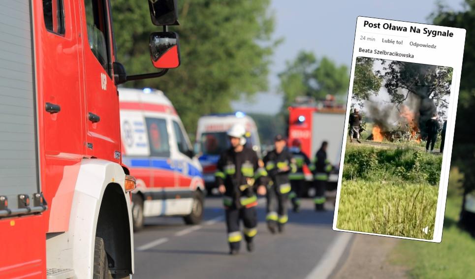 Adobe Stock / Facebook